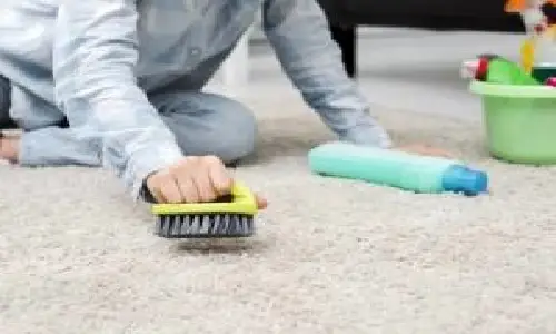 جمع کردن مو از فرش