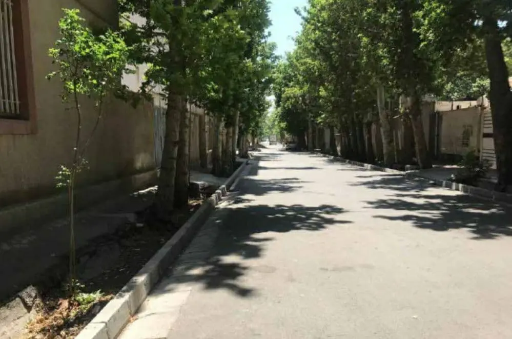 بهترین مبلشویی در رزکان