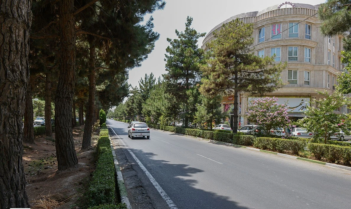 معتبرترین قالیشویی در مهرشهر
